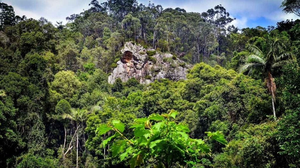 Tamborine Mountain