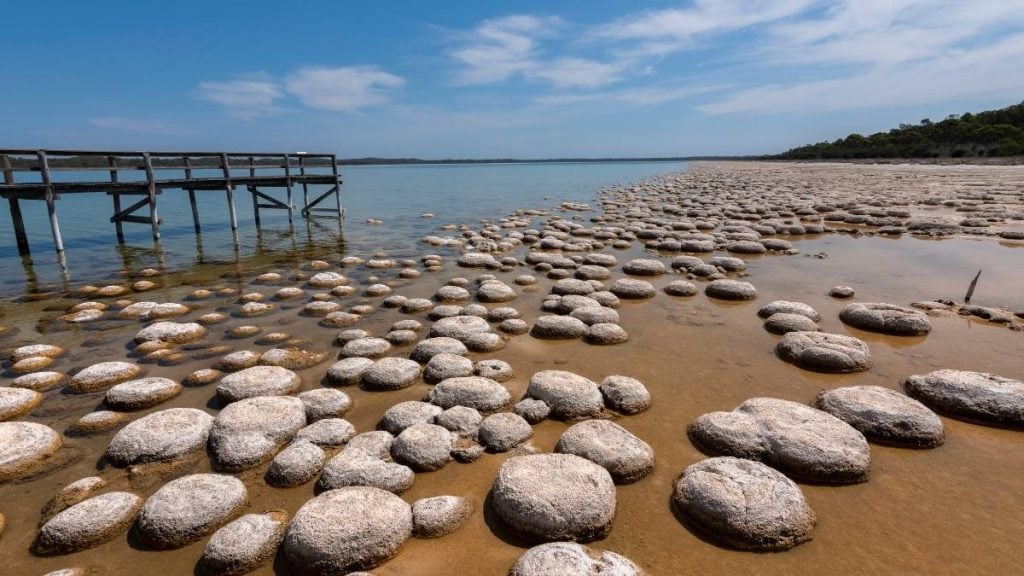 Getting from Margaret River to Perth: The ultimate travel guide. In picture: Lake Clifton, WA
