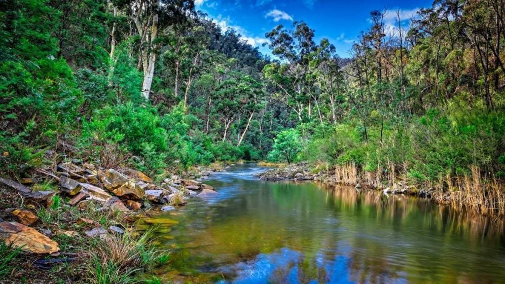 Aberfeldy Camping Area in Baw Baw National Park, Victoria, Australia