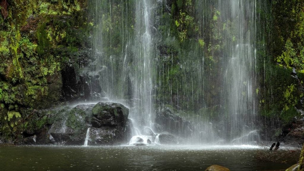 Beauchamp Falls in Great Otway National Park, Victoria, Australia
