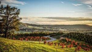 Canberra camping grounds: Everything you need to know