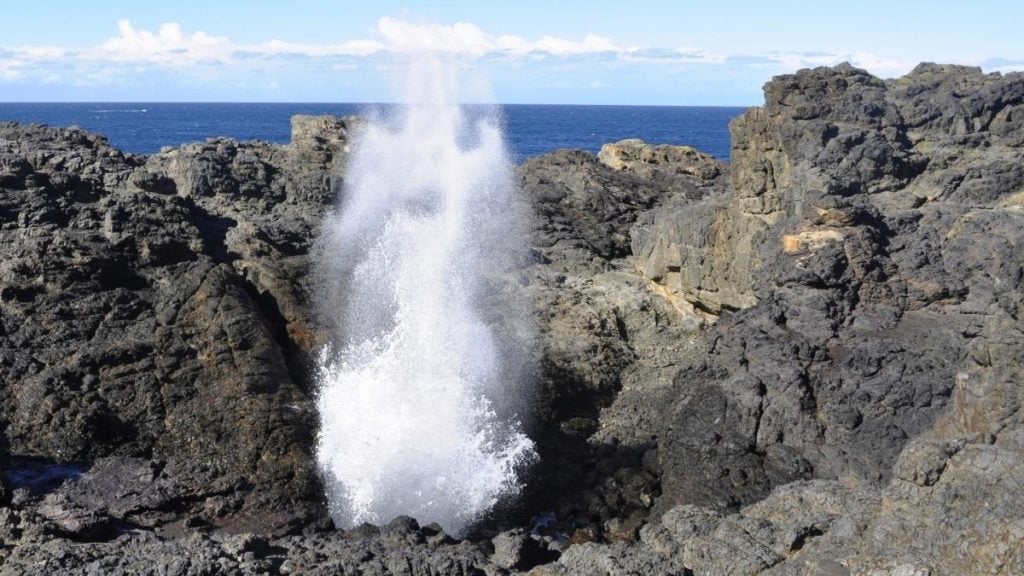 Grand Pacific Drive: The ultimate coastal NSW driving experience. In picture: Kiama Blowhole, NSW