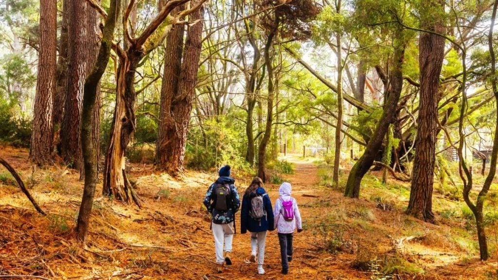 Lerderderg State Park in Melbourne, Victoria, Australia