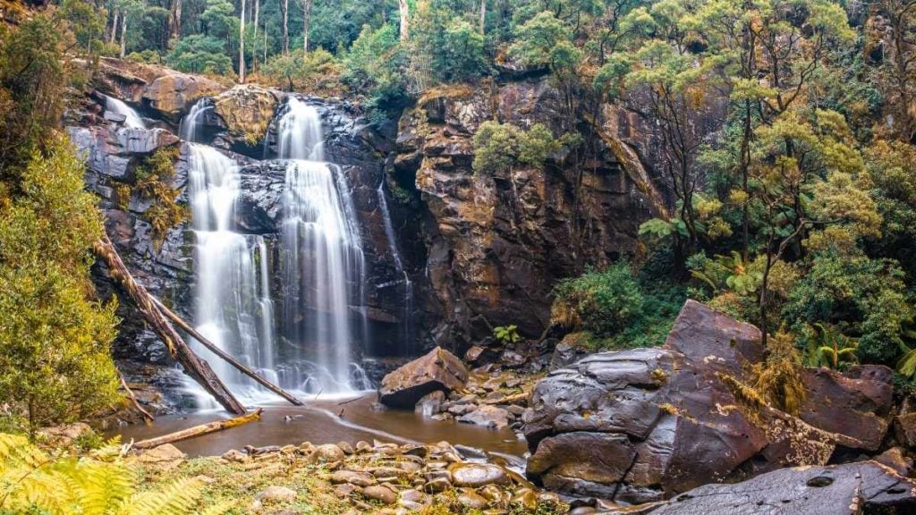 Free camping Melbourne: A guide to the best free camping spots. In Picture: Stevensons Falls Campground, Otway Forest Park, Victoria, Australia