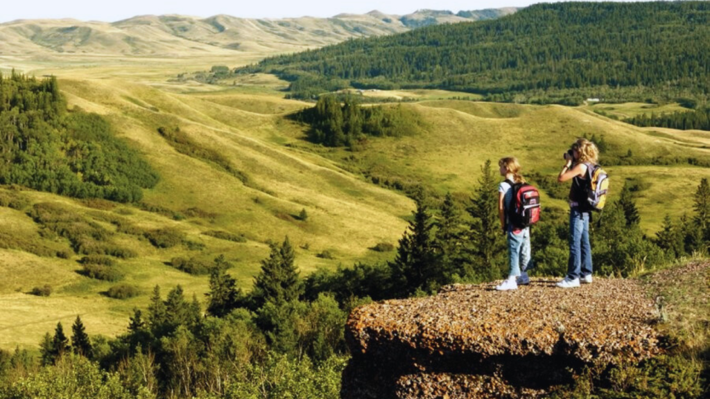 Calgary to Toronto drive: The ultimate road trip guide. Cypress Hills Interprovincial Park, AB.