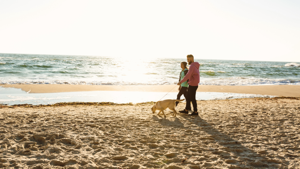 Calgary to Toronto drive: The ultimate road trip guide. Presqu'ile, ON.