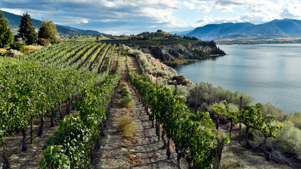 Vancouver to Calgary drive The ultimate road trip guide Turo