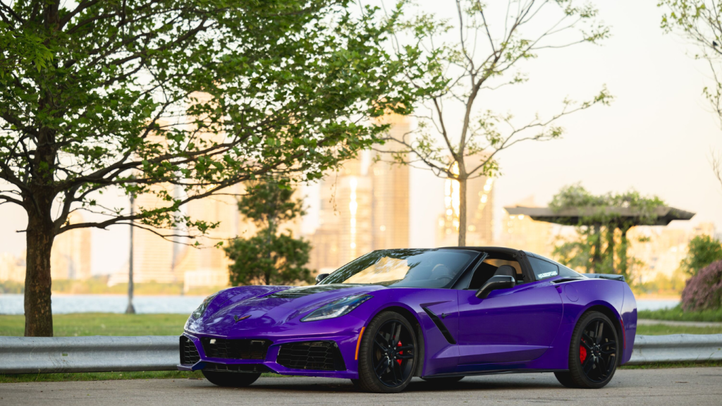 Browse Turo for the best car rentals for the Winnipeg to Toronto drive.