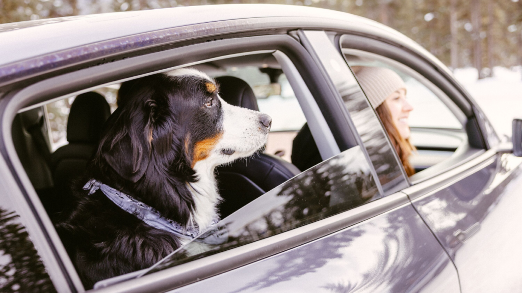 Car rentals for the perfect Winnipeg to Toronto road trip.