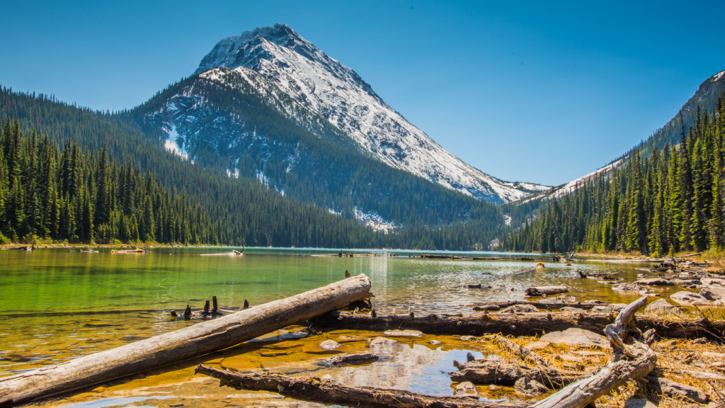 Edmonton to Vancouver drive: The ultimate road trip guide. Jasper National Park, AB.