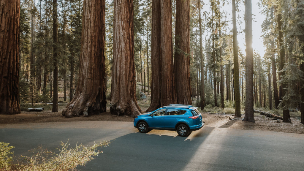 Browse Turo for the best car rentals for the Vancouver to Tofino drive.