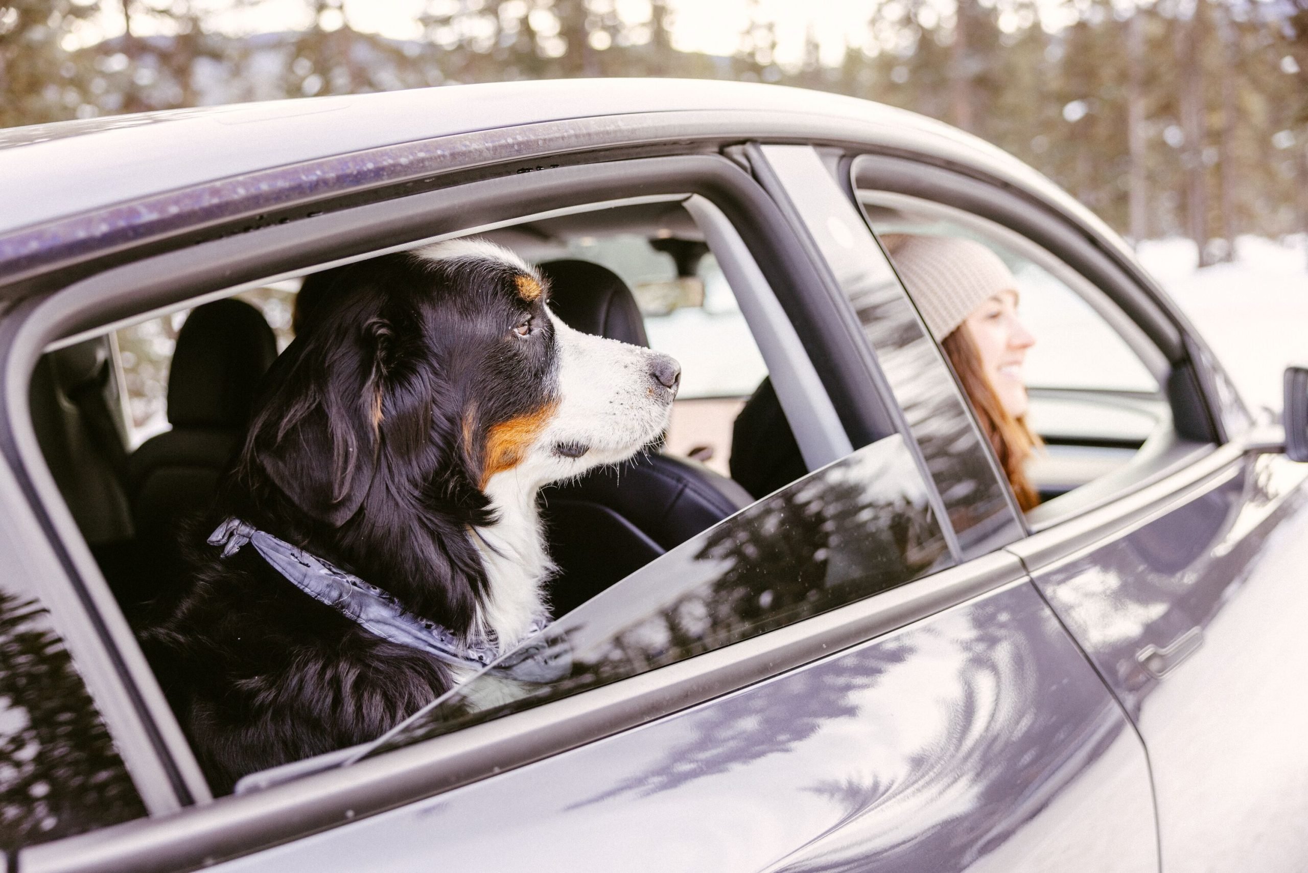 Turo Age Policy: The Ultimate Guide For Young Renters - 07m48g5
