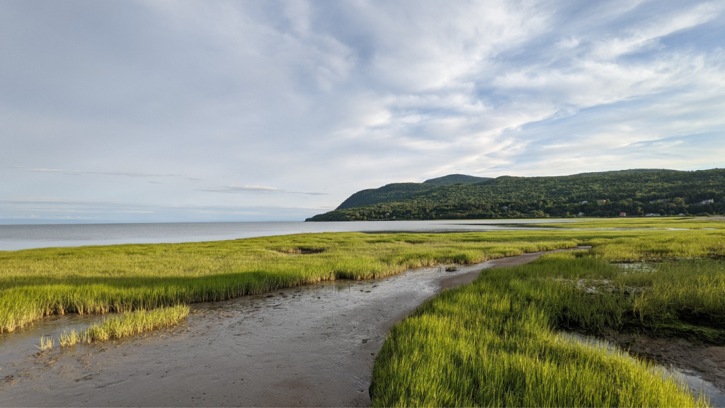 La beauté naturelle du massif de Charlevoix et de ses plages.