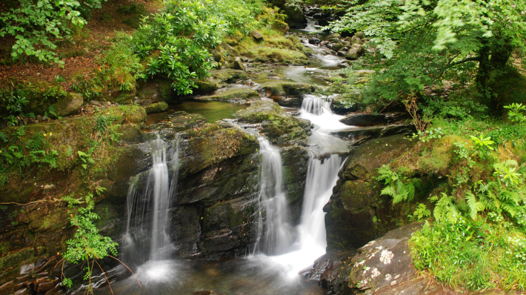 Toronto to Winnipeg drive: The ultimate road trip guide. Killarney Provincial Park, ON.