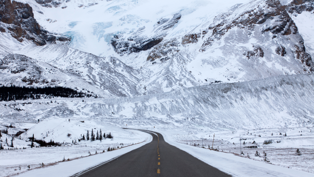 Top 5 things to do in Jasper during winter: Wildlife spotting on the Icefields Parkway, Jasper, Alberta.