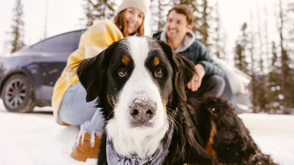 Get ready for the ultimate winter road trip to Whistler, British Columbia.