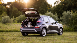 The best rental cars for winter activities in Victoria.