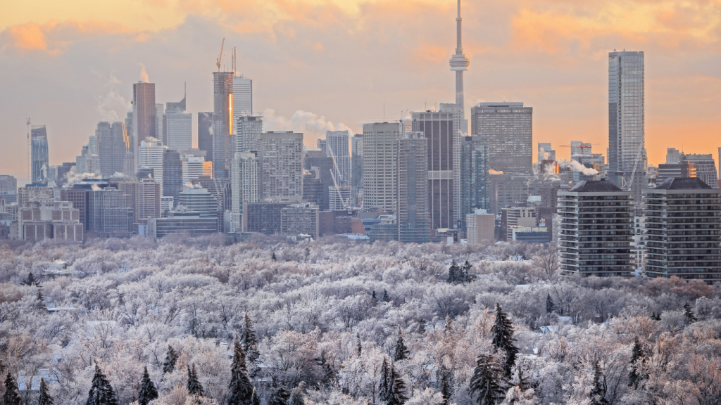 Top 5 things to do in Toronto during winter: The beautiful city of Toronto during the winter.