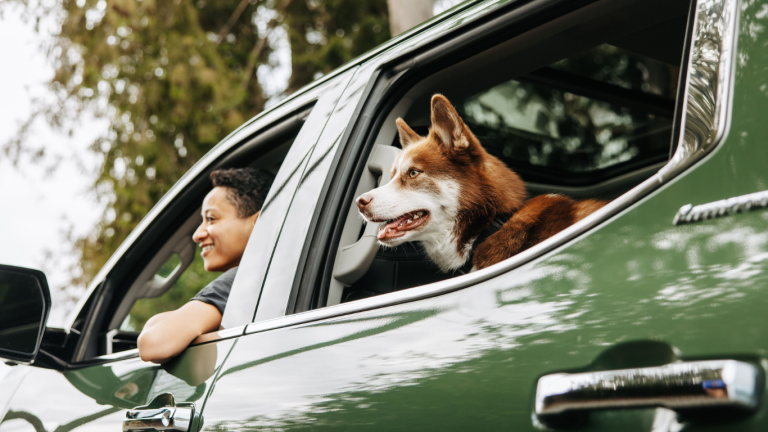 Car rentals to get out and experience the best things to do in Kingston