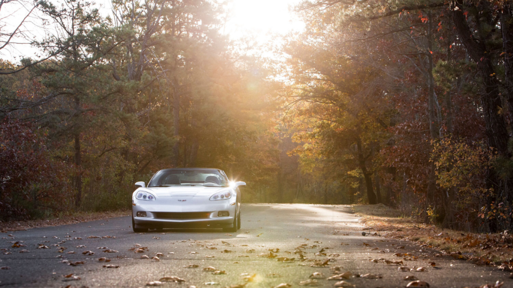 Car rentals to get out and experience the best things to do in Winnipeg