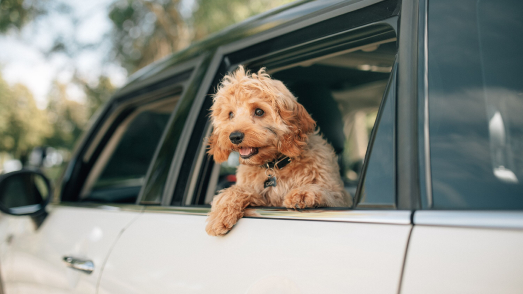 The best rental cars for can’t-miss activities in Kamloops