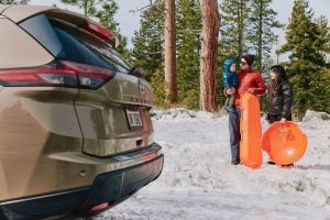 Top 5 things to do in Edmonton