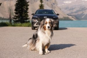 Top 5 things to do in Kelowna