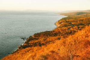 Top 5 things to do in Moncton