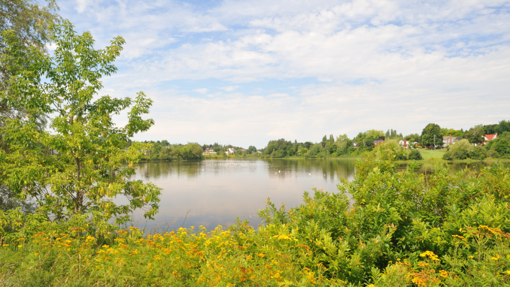 Top 5 things to do in Moncton Centennial Park, Moncton, NB
