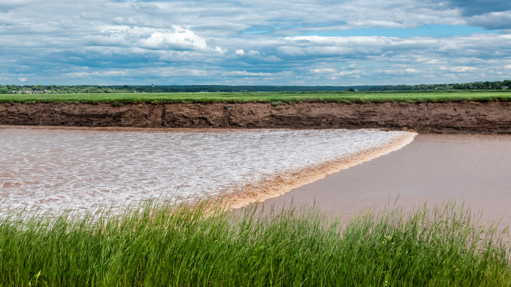 Top 5 things to do in Moncton Petitcodiac River changing tides, Moncton, NB.