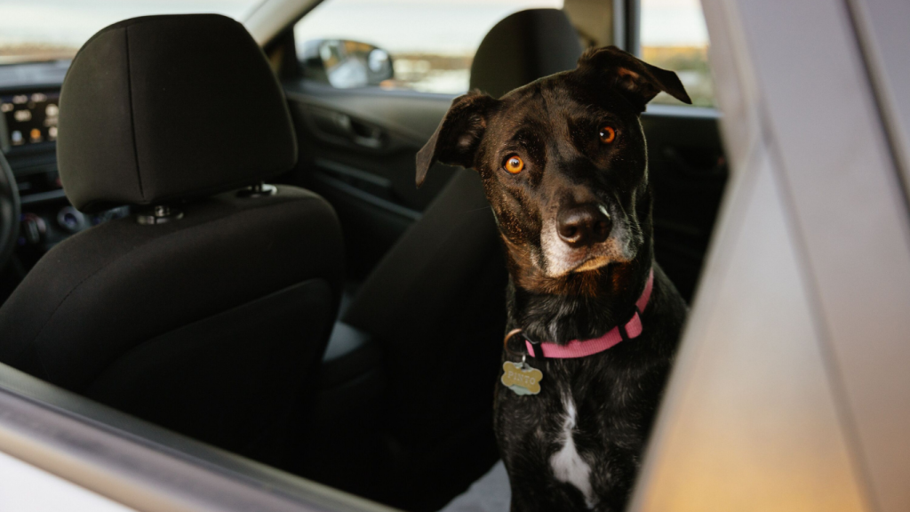 Exploring Nova Scotia in the perfect rental car from Stanfield International Airport or Sydney : J.A. Douglas McCurdy Airport