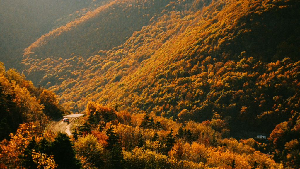The best rental cars for can’t-miss activities in Nova Scotia