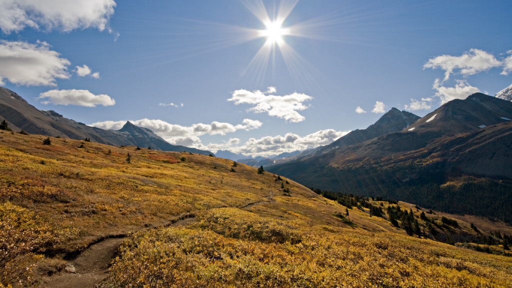 Top things to do in Alberta - best Alberta hikes Wilcox Pass Trail, Jasper