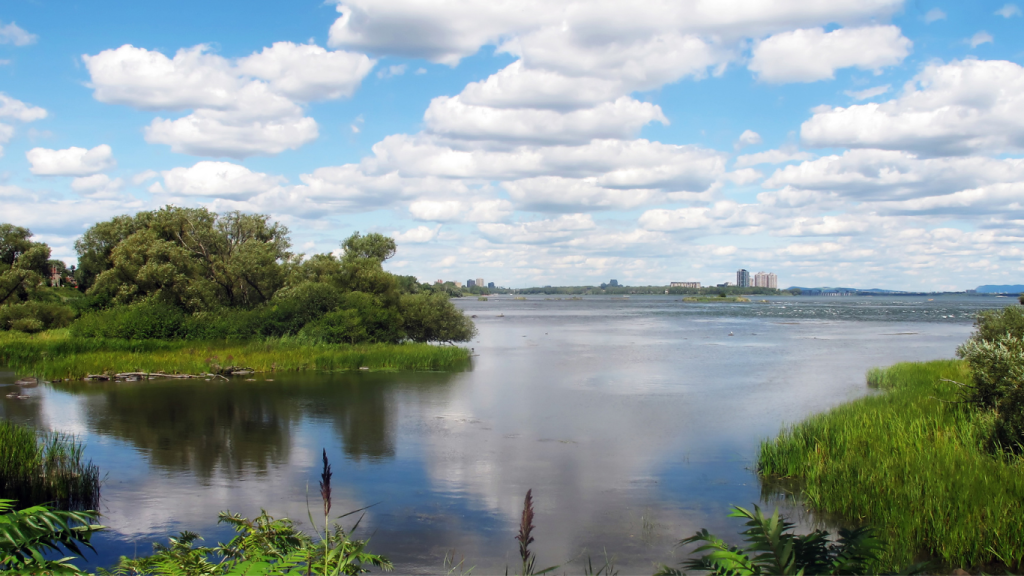 Top things to do in Montreal - best hikes near Montreal Cap-Saint-Jacques Nature Park