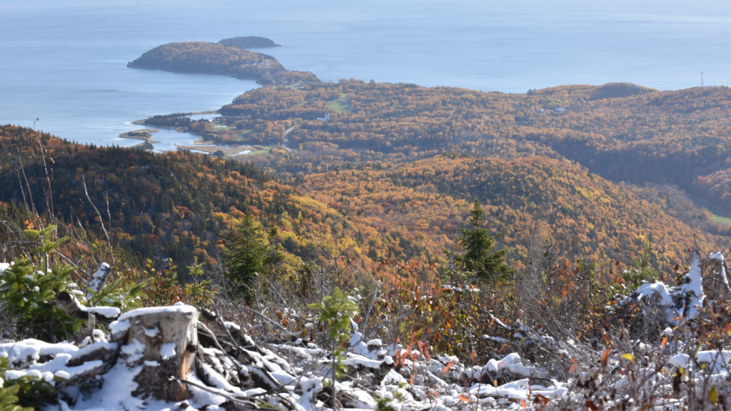 Top things to do in Nova Scotia - best NS hikes Franey Trail