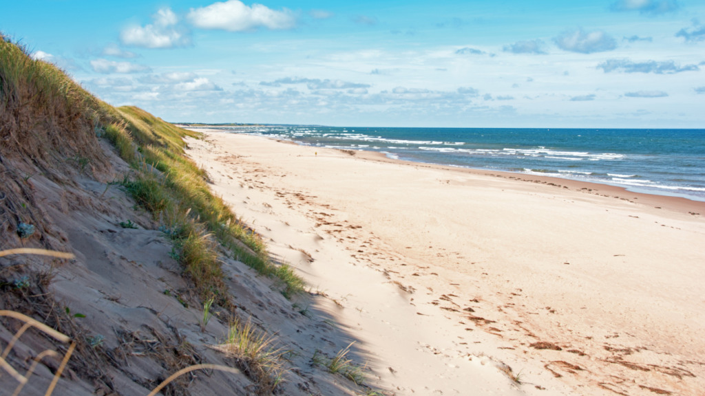 Top things to do in Prince Edward Island - best PEI hikes Greenwich Dunes Trail