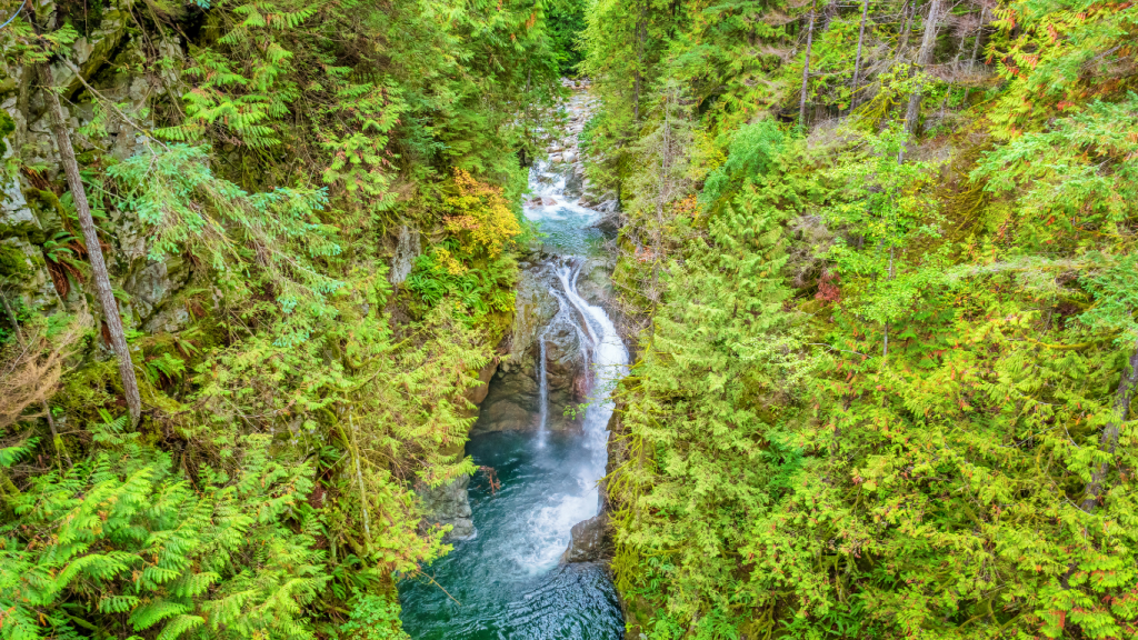 Top things to do in Vancouver - best Vancouver hikes The Lynn Loop
