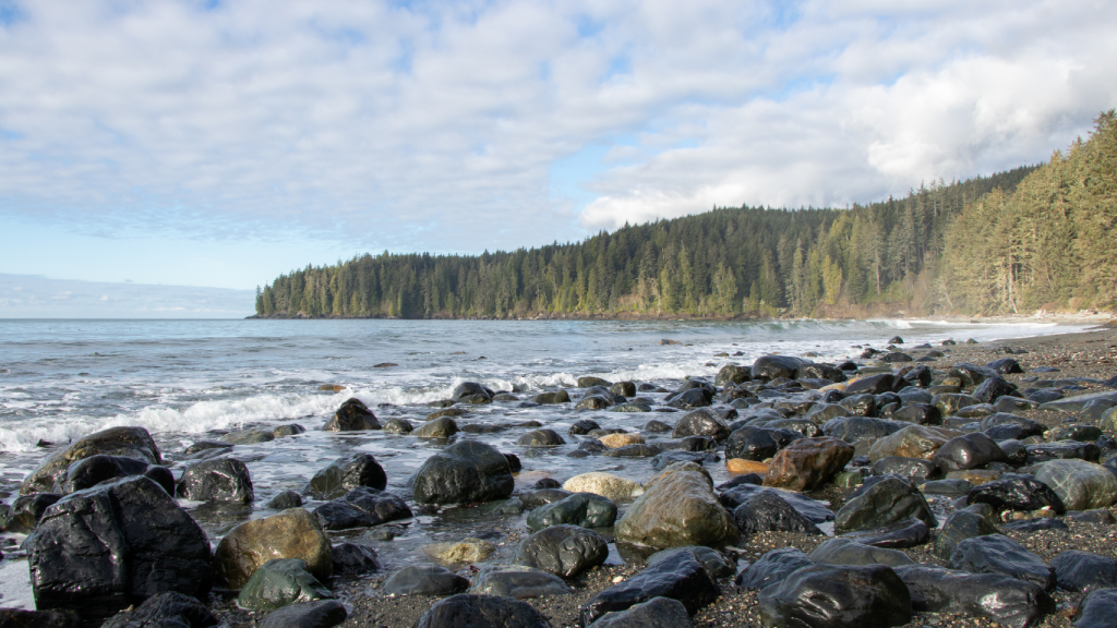 Top things to do on Vancouver Island - best Vancouver Island hikes Botanical Beach hike