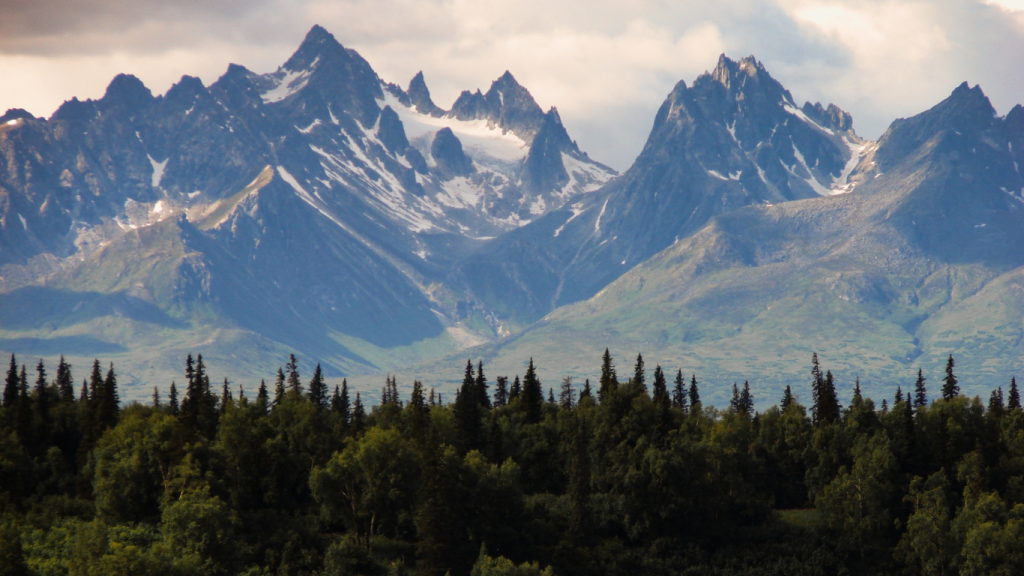 Edmonton to Jasper drive The ultimate road trip guide Hinton, Alberta