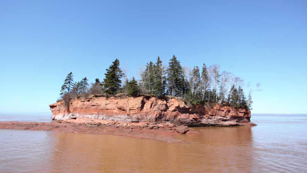 Halifax to Charlottetown drive The ultimate road trip guide Burntcoat Head Park