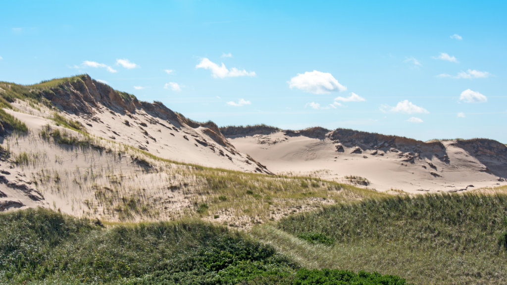 Halifax to Charlottetown drive The ultimate road trip guide PEI National Park – Greenwich Dunes Trail