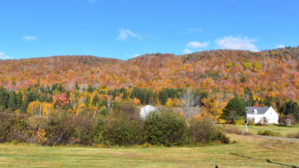 Halifax to Charlottetown drive The ultimate road trip guide Tatamagouche Brewing Co
