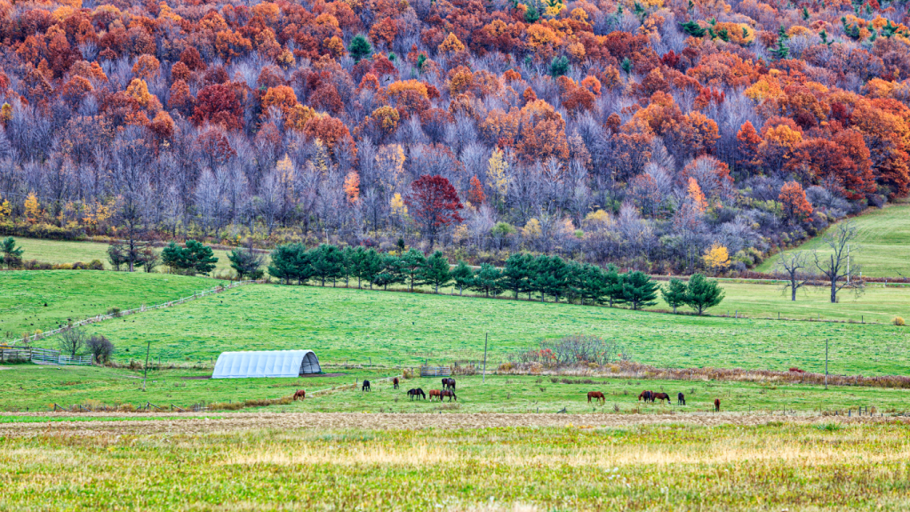 Montreal to Plattsburgh drive: The ultimate road trip guide: Chazy, NY.