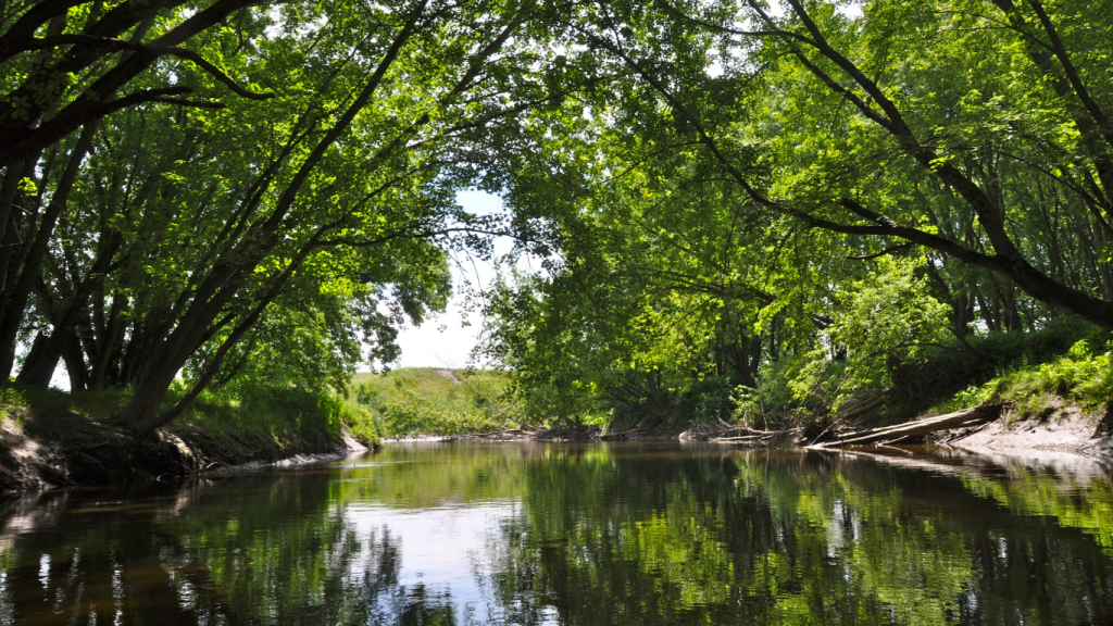 Montreal to Plattsburgh drive: The ultimate road trip guide: Missisquoi National Wildlife Refuge.