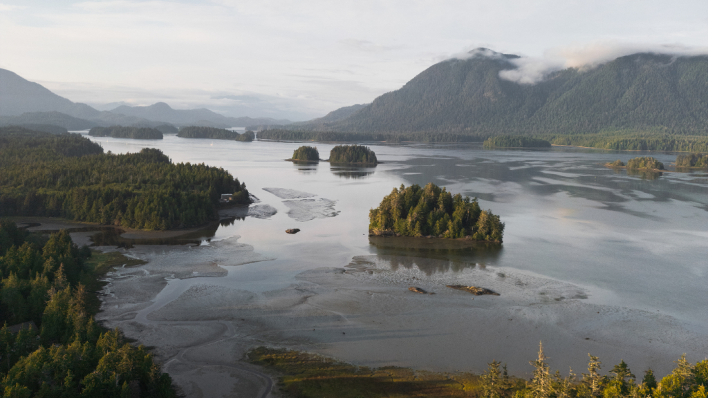 The best rental cars for can’t-miss activities in Tofino