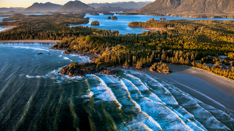Victoria to Tofino drive The ultimate road trip guide