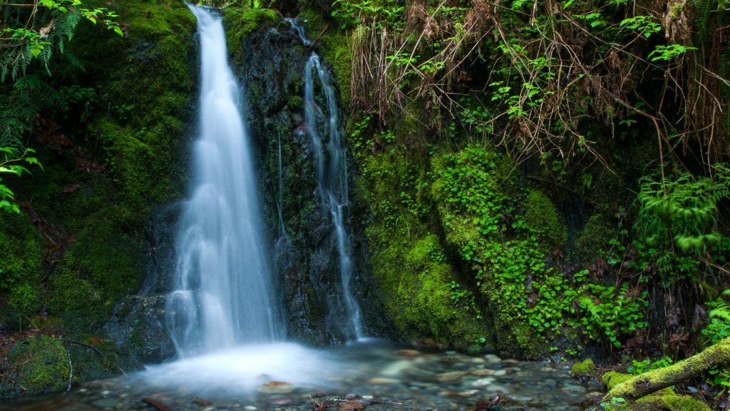 Victoria to Tofino drive The ultimate road trip guide Goldstream Provincial Park