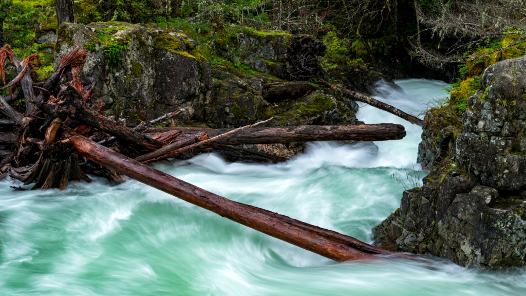 Victoria to Tofino drive The ultimate road trip guide Little Qualicum Falls Provincial Park