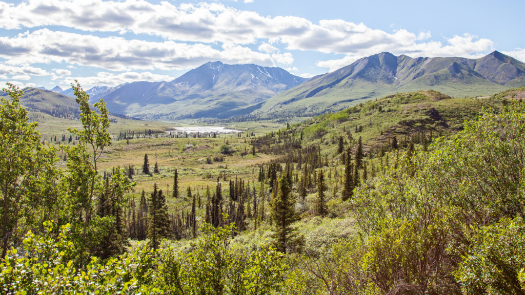 Whitehorse to Dawson City drive The ultimate road trip guide Braeburn Lodge
