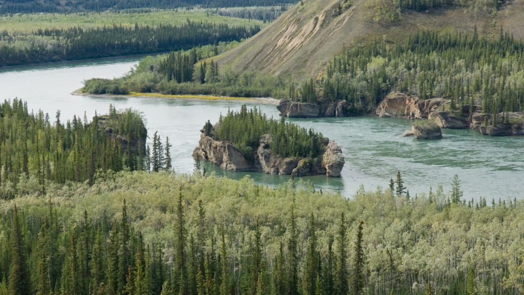 Whitehorse to Dawson City drive The ultimate road trip guide Five Finger Rapids
